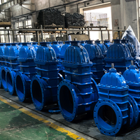 Vanne à opercule à bride conforme à la norme BS5163, vanne de régulation à opercule en fonte ductile GGG50 à siège souple pour eau municipale