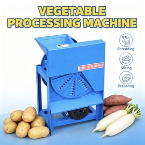 Grattugia Elettrica Multifunzione in <span class=keywords><strong>Ghisa</strong></span> di Tipo Standard, Adatta per Patate e Ravanelli - Product Image 1