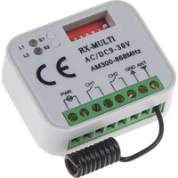 Récepteur universel de télécommande de porte de garage 2 canaux 9-30V à code fixe et à code variable