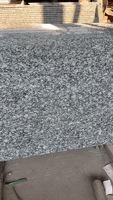 Granite Blanc Poli en Gros, Découpé sur Mesure, pour Comptoirs et Appuis de Fenêtre