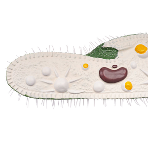 แบบจำลองพาราเมเซียม อุปกรณ์การศึกษาด้านวิทยาศาสตร์การแพทย์ สำหรับสิ่งมีชีวิตเซลล์เดียว โปรโตโซอา รุ่น PVC ยี่ห้อ Yulin รุ่น YL2-80001 - Product Image 3