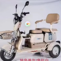 Tricycles électriques sans balais à 3 vitesses et 3 roues pour adultes, moteur moyeu arrière 48V 500W, batterie 20Ah, cadre en acier au carbone ouvert, vitesse maximale
