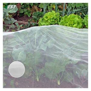 Rete agricola di plastica dell'anti-insetto/rete di essiccazione del riso del grano/rete di stagno del nylon per la Tailandia - Product Image 2