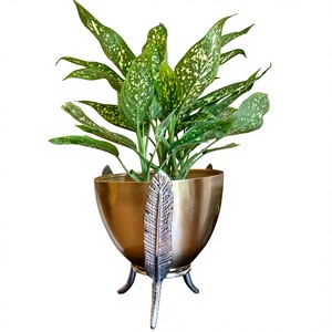 Maceta de 24 x 24 x 28 cm con Diseño de Plumas, Macetero Interior para Plantas Verdes, Decoración de Escritorio - Product Image 1