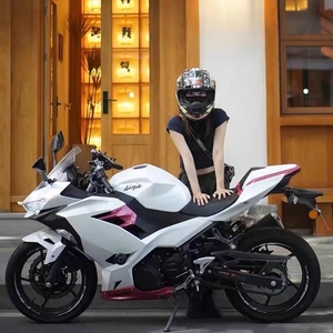 Motocicleta Deportiva Kawasaki <span class=keywords><strong>Ninja</strong></span> 400 Nueva, Tipo H2 <span class=keywords><strong>Yamaha</strong></span> R1 R3 <span class=keywords><strong>R6</strong></span> 250cc, Matriculable, ZY400 - Product Image 5