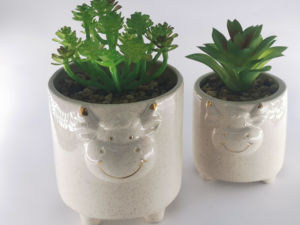 Witte Geglazuurde Keramische Bloempot Met Voeten Sappige Plantenbak Voor Huis-En Tuindecoratie - Product Image 6