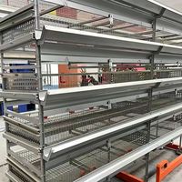 Nouveau type de poulailler long en acier galvanisé, 120, 128, 160 places, pour l'élevage de volailles, avec incubation de poulets de chair en batterie à 4 niveaux