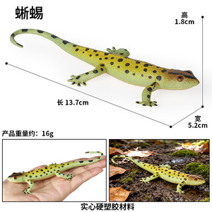 Juguetes de simulación de lagartos sólidos para niños, modelos de reptiles, camaleón, lagarto, anteatero, erizo <span class=keywords><strong>y</strong></span> figuras de ardilla. - Product Image 4
