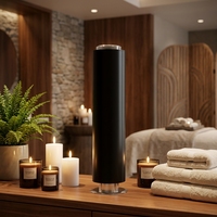 Diffuseur d'huiles essentielles à commande numérique en alliage d'aluminium de 1000 ml, double liquide, télécommandé, pour hôtels et commerces, grande capacité, couvre une large surface