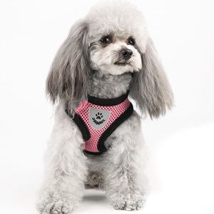 Harnais pour chiens et chiots, collier, gilet réglable pour chat et chien, laisse de promenade, harnais en maille de polyester doux et respirant pour animaux de compagnie de petite et moyenne taille - Product Image 6