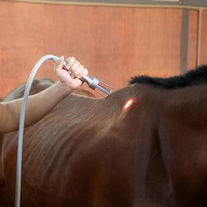 उच्च शक्ति स्मार्ट 810nm 980nm quine कुत्ते लेजर थेरेपी डिवाइस गहरी ऊतक चोट के लिए 10w-30W - Product Image 5