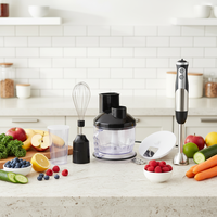 Mini elektrische fruitmixer, voedselhakselaar, staafmixerset, roestvrij staal, ijsvergruizer, keuken, huishoudelijk, handmixer, plastic