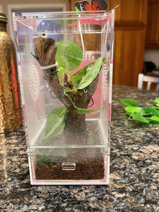 Benutzer definierte Größe Magnetisches Acryl-Zucht gehäuse Großes Reptilien gehäuse Reptilien zucht kasten Terrarium käfig - Product Image 4