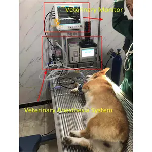 Eur Pet Factory Prijs Groot Dier Anesthesie Circuits Machine Anesthesie Debieten In Veterinaire
