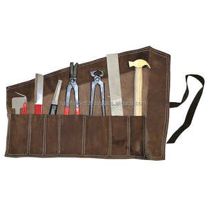 Kit de herramientas herrador al por mayor instrumento veterinario profesional 2020 - Product Image 1