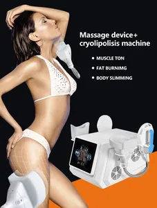 Fast Result Exercise Weight Loss Slimming Machine New Tech Rf Ems + Cryolipolysis Machine For Cellulite Removal Body Shape 2024