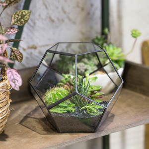Terrarium géométrique en verre Petites vitrines de reptiles en acrylique pour <span class=keywords><strong>la</strong></span> maison <span class=keywords><strong>Jardin</strong></span> Décoratif <span class=keywords><strong>Zoo</strong></span> Acro Repti <span class=keywords><strong>Zoo</strong></span> Floor Usage - Product Image 2