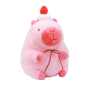 Runjoy dessin animé dormir étreignant eau dauphin animaux en peluche poupées en peluche mignon kawaii cadeau d'<span class=keywords><strong>anniversaire</strong></span> coussin créatif jouet personnalisé - Product Image 1