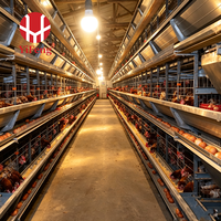 Nouvelle Conception, Cage à Poulets Automatique, Équipement Avicole, Poulailler pour Poules Pondeuses, Système de Cage - Vente Chaude