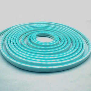 12V bleu glace étanche doux <span class=keywords><strong>LED</strong></span> Flex <span class=keywords><strong>néon</strong></span> lumière IP65 note PVC corps couleur unique émettant 6*12MM ceinture d'éclairage d'<span class=keywords><strong>aquarium</strong></span> - Product Image 5