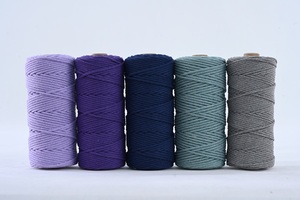 Nhà Máy Bán Buôn 3Mm 4Mm 5Mm 6Mm 16 Sợi Cấu Trúc Tùy Chỉnh Màu Sắc Bện Dây - Product Image 4