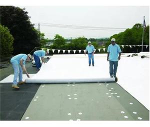 Membrana Impermeabilizante Moderna de 1.5mm, Empresa de Techos TPO, Instalación de TPO en Casas Móviles para Techos - Product Image 5