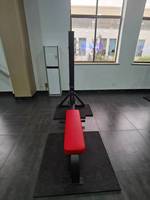 Équipement de gymnastique d'entraînement chargé par goupille de machine commerciale de Biceps Curl de haute qualité