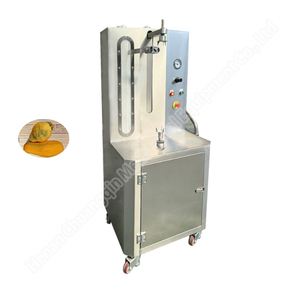 Éplucheur de peau d'ananas machine à éplucher les citrouilles machine à éplucher les pommes à vendre - Product Image 5