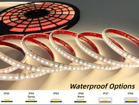 Bande LED uniforme 140 LED DC24V PCB10mm, personnalisable CCT/Longueur 1800K-6500K, bande flexible IP20-68, étanche à la poussière, éclairage décoratif extérieur