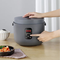 Cuisinière à riz électrique 3L, modèle électronique facile à utiliser