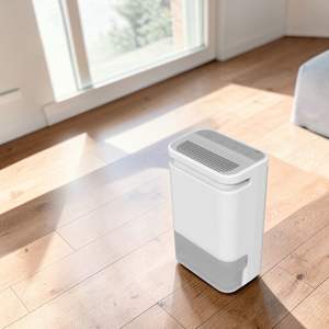 Deshumidificador de Aire DDP con Capacidad de Deshumidificación de 10L para Dormitorio, Certificado ISO 9001 y CE, Ligero, Silencioso y Ecológico - Product Image 1