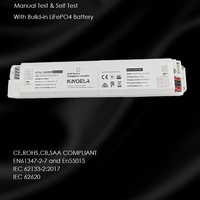 Batería de Respaldo de Emergencia LED Profesional de 2W 3W con Autoprueba de 180 Minutos, Paquete LiFePO4 para Luminarias Lineales