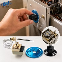 Contrôle de la température chauffage capillaire four électrique Thermostat interrupteur WHD-250B pour four avec bouton