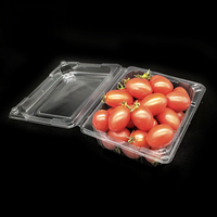 Boîte à emporter en plastique transparent très vendue, design anti-poussière pour fruits, idéale pour les aliments sains, les restaurants rapides et les cafés