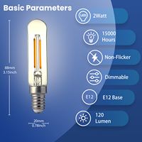 Ampoule à filament LED vintage à large application T6 T20 110-130V 2W 120lm lampe tubulaire Edison à intensité variable en verre pour éclairage suspendu