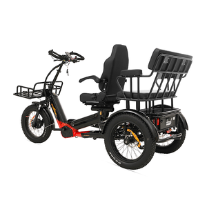 Triciclo Eléctrico de Carretera de Buena Calidad, 2500W, 2 Motores, para Adultos, Carrocería Abierta, 152Ah, 3 Baterías, 400KM, Certificado CE, 48V, 2 Pasajeros - Product Image 5