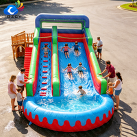 Toboggan aquatique gonflable commercial avec piscine pour fête de jardin, événement estival en plein air