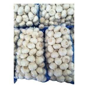 <span class=keywords><strong>2025</strong></span> Mới Tươi Tinh Khiết Trắng Pealed Tỏi 5.0Cm-5.5Cm Tinh Khiết Tỏi Trắng Tại Giá Thị Trường Cho Bán - Product Image 6