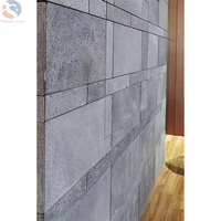 Briques de pierre de basalte noir vente en gros projet de carreaux de granit de haute qualité 45X45