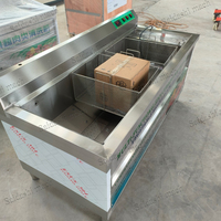 Multifunctionele commerciële ozon-tomaten-mango-groentewasmachine ozonwasmachine