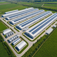 Bâtiment avicole en acier multi-niveaux ultra-efficace, poulailler préfabriqué moderne, bâtiment polyvalent pour élevage de poulets automatique