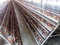 Cages à étages en forme de A