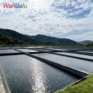 ASTM GM 13 Standard <strong>Geomembranes</strong> Roll EPDM HDPE Modern Industrial Durable Anti-UV Outdoor Shrimp Pond Farm Liner For Lake Chile - Product Image 2