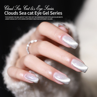 OEM 15 Couleurs 4d Caméléon Cat Eye Gel Magnétique pour Ongles Cat Eye Gel Set pour Débutants Disco Gel Polish Magnetics