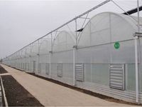 Serre agricole à faible coût, tunnel multi-voûtes, serre en film plastique pour tomates, système hydroponique