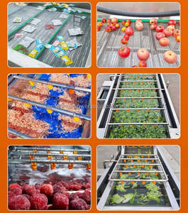 เครื่องล้างผลไม้แบบอุตสาหกรรม 500 กก./ชม. สำหรับล้างผลไม้ประเภทพิตายา ส้ม มะนาว คัมควอต บลูเบอร์รี่ ผักกาดหอม ผักโขม มะเขือเทศ - Product Image 2