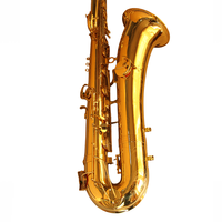Eastern Music Professional B Flat Bass Saxophone Gold Lacquered Brass Body Woodwind Instrument Custom Engraving