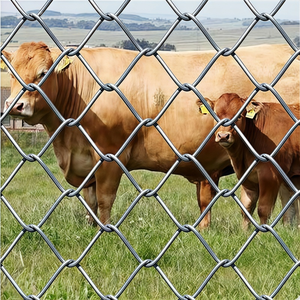 سياج معدني رخيص من شبكة سلكية مجلفنة ثقيلة التقوية لتسييج المزارع والحقول - Product Image 1