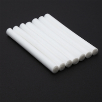 Bâtonnets filtrants en coton pour humidificateur ultrasonique USB et diffuseur d'arômes – Pièces de rechange découpables