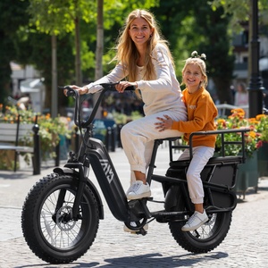 Zerogo K008 bicicleta eléctrica personalizada 500W 20 pulgadas asientos dobles pantalla Lcd + aplicación bicicleta eléctrica para adultos Fat Tire Ebike - Product Image 3